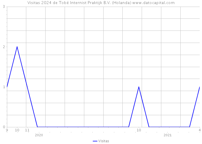 Visitas 2024 de Tobé Internist Praktijk B.V. (Holanda) 