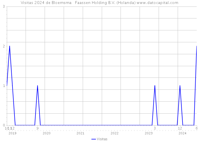 Visitas 2024 de Bloemsma + Faassen Holding B.V. (Holanda) 