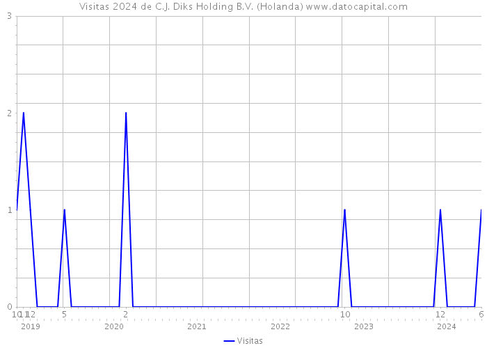 Visitas 2024 de C.J. Diks Holding B.V. (Holanda) 