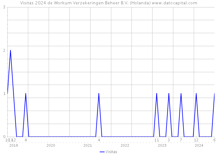 Visitas 2024 de Workum Verzekeringen Beheer B.V. (Holanda) 