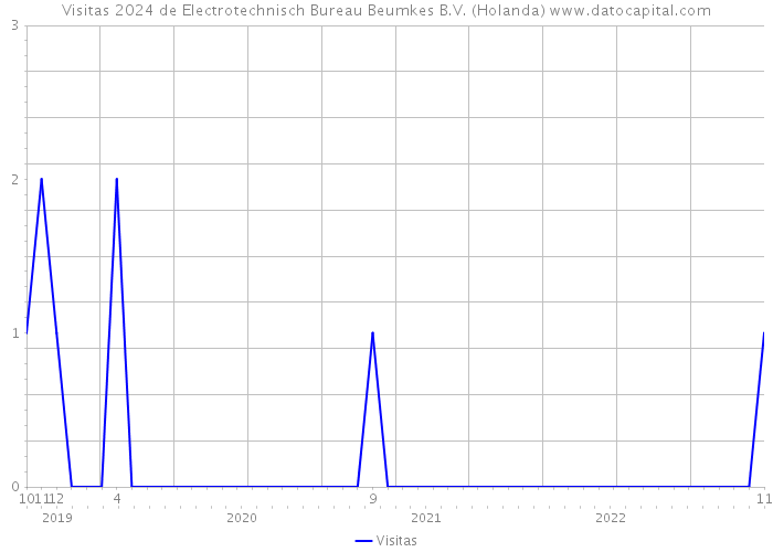 Visitas 2024 de Electrotechnisch Bureau Beumkes B.V. (Holanda) 