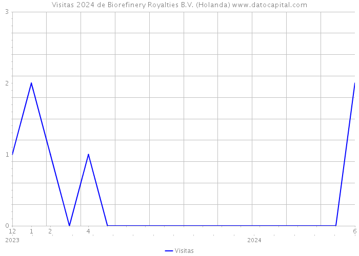 Visitas 2024 de Biorefinery Royalties B.V. (Holanda) 