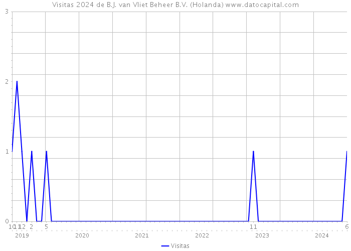 Visitas 2024 de B.J. van Vliet Beheer B.V. (Holanda) 