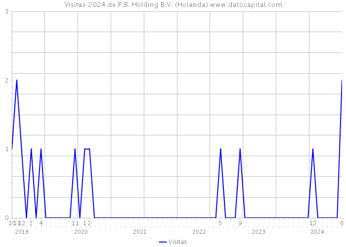 Visitas 2024 de P.B. Holding B.V. (Holanda) 