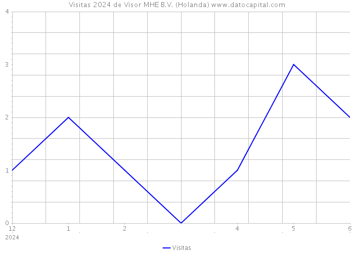 Visitas 2024 de Visor MHE B.V. (Holanda) 