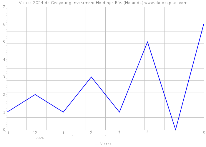 Visitas 2024 de Geoyoung Investment Holdings B.V. (Holanda) 