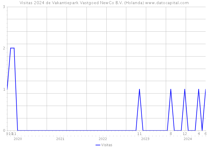 Visitas 2024 de Vakantiepark Vastgoed NewCo B.V. (Holanda) 