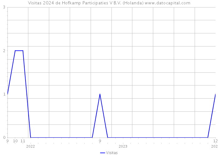 Visitas 2024 de Hofkamp Participaties V B.V. (Holanda) 
