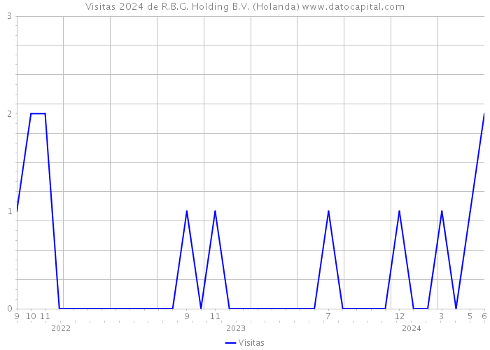 Visitas 2024 de R.B.G. Holding B.V. (Holanda) 