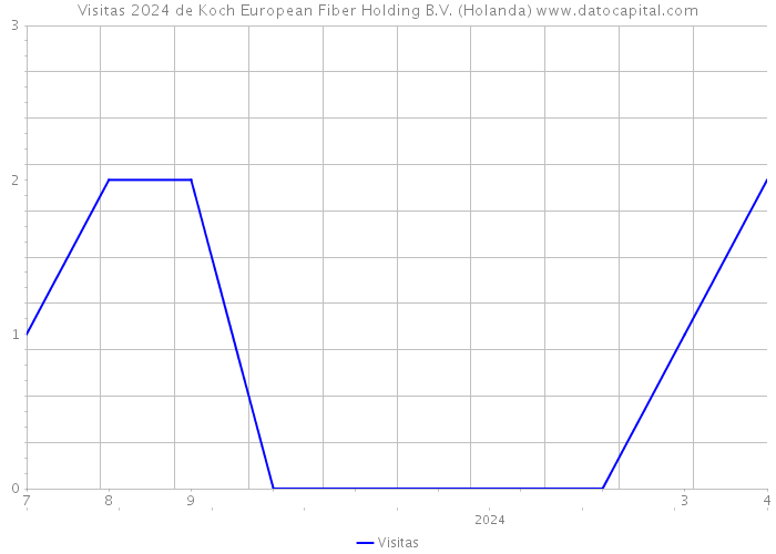 Visitas 2024 de Koch European Fiber Holding B.V. (Holanda) 