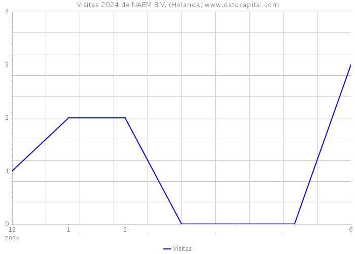 Visitas 2024 de NAEM B.V. (Holanda) 