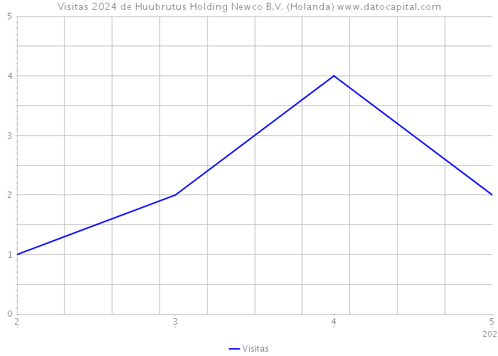 Visitas 2024 de Huubrutus Holding Newco B.V. (Holanda) 