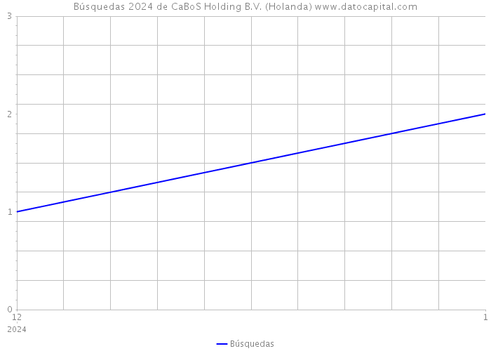 Búsquedas 2024 de CaBoS Holding B.V. (Holanda) 