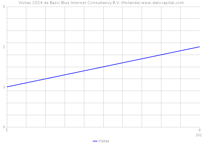 Visitas 2024 de Bazic Blue Internet Consultancy B.V. (Holanda) 