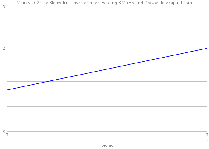 Visitas 2024 de Blauwdruk Investeringen Holding B.V. (Holanda) 