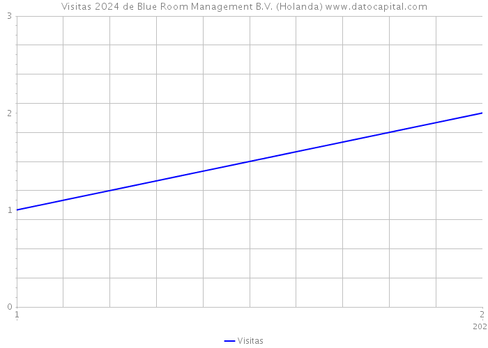 Visitas 2024 de Blue Room Management B.V. (Holanda) 