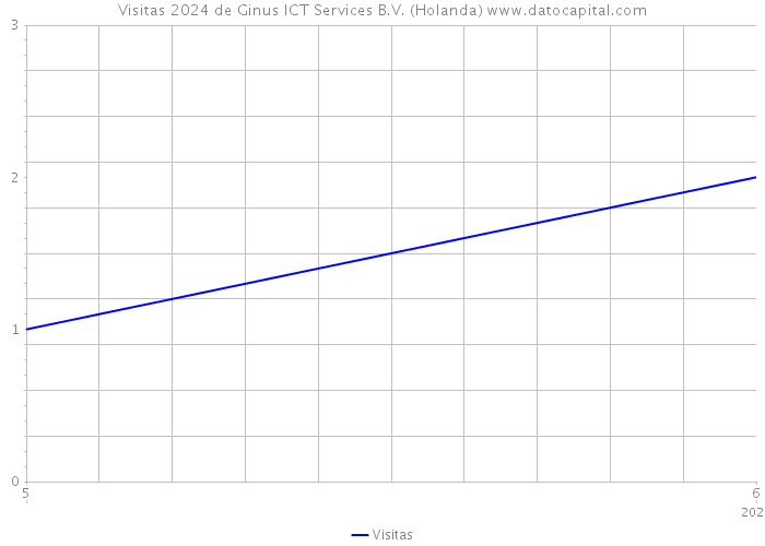 Visitas 2024 de Ginus ICT Services B.V. (Holanda) 