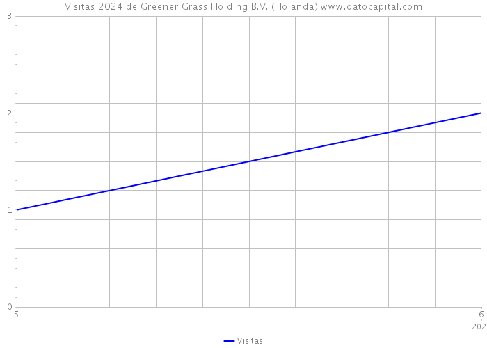 Visitas 2024 de Greener Grass Holding B.V. (Holanda) 