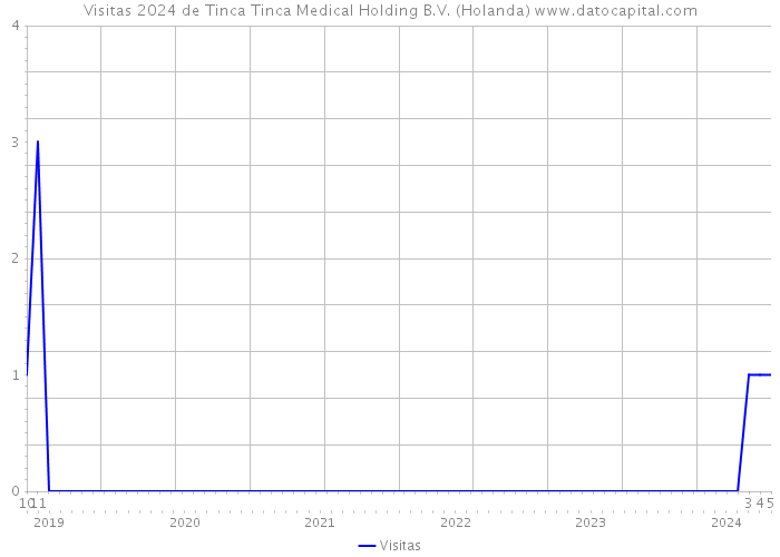 Visitas 2024 de Tinca Tinca Medical Holding B.V. (Holanda) 