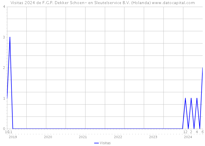 Visitas 2024 de F.G.P. Dekker Schoen- en Sleutelservice B.V. (Holanda) 