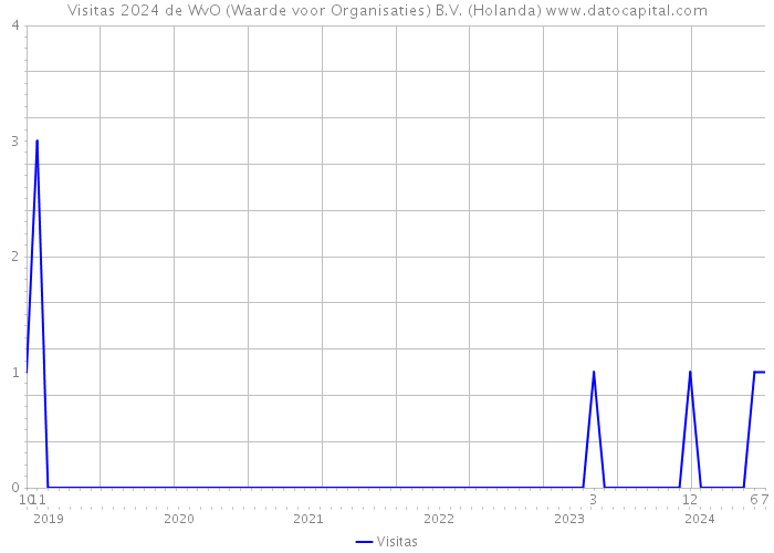 Visitas 2024 de WvO (Waarde voor Organisaties) B.V. (Holanda) 