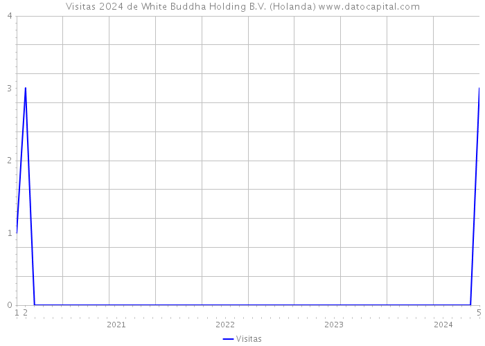 Visitas 2024 de White Buddha Holding B.V. (Holanda) 