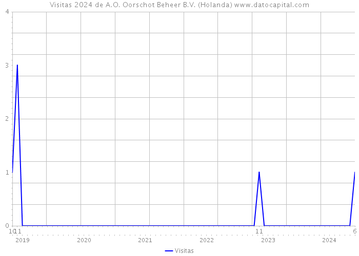 Visitas 2024 de A.O. Oorschot Beheer B.V. (Holanda) 