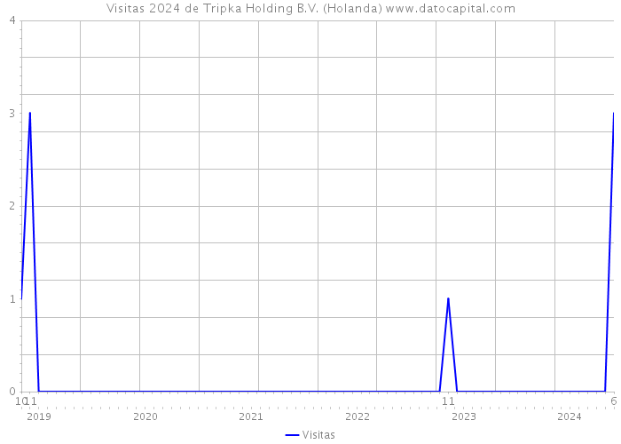 Visitas 2024 de Tripka Holding B.V. (Holanda) 