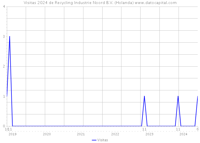 Visitas 2024 de Recycling Industrie Noord B.V. (Holanda) 