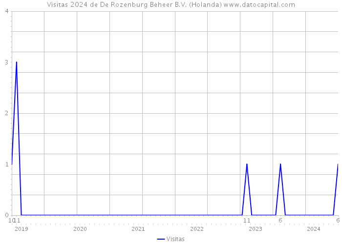 Visitas 2024 de De Rozenburg Beheer B.V. (Holanda) 