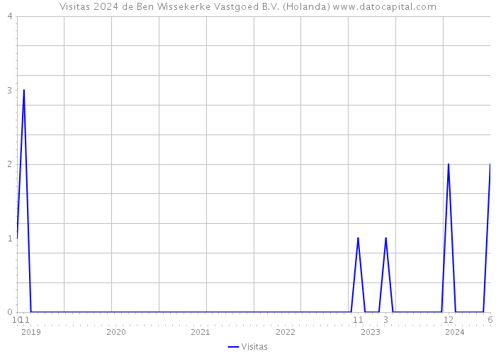 Visitas 2024 de Ben Wissekerke Vastgoed B.V. (Holanda) 