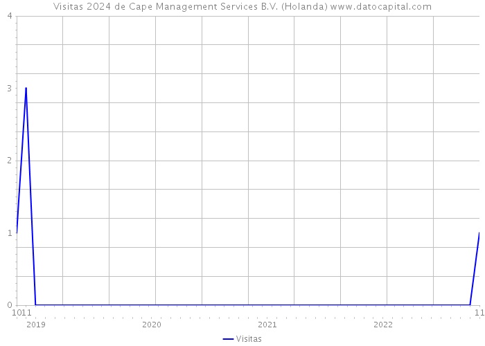 Visitas 2024 de Cape Management Services B.V. (Holanda) 