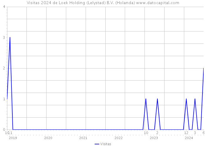 Visitas 2024 de Loek Holding (Lelystad) B.V. (Holanda) 