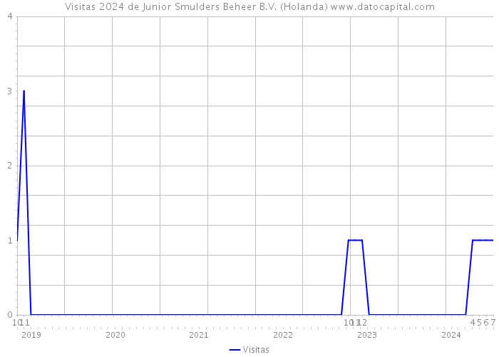 Visitas 2024 de Junior Smulders Beheer B.V. (Holanda) 