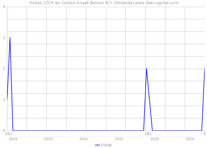 Visitas 2024 de Gulden Knaak Beheer B.V. (Holanda) 