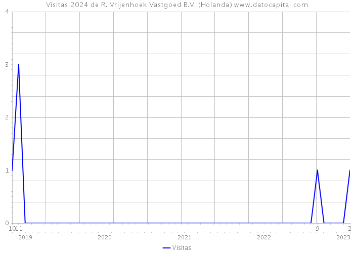 Visitas 2024 de R. Vrijenhoek Vastgoed B.V. (Holanda) 