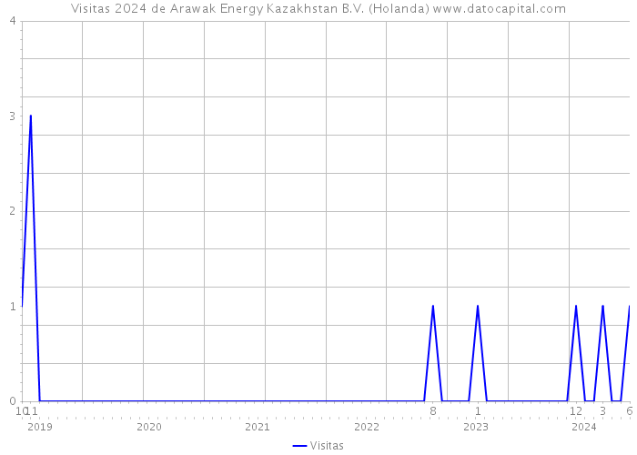 Visitas 2024 de Arawak Energy Kazakhstan B.V. (Holanda) 