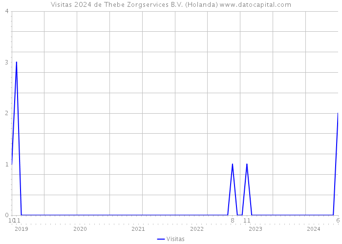 Visitas 2024 de Thebe Zorgservices B.V. (Holanda) 