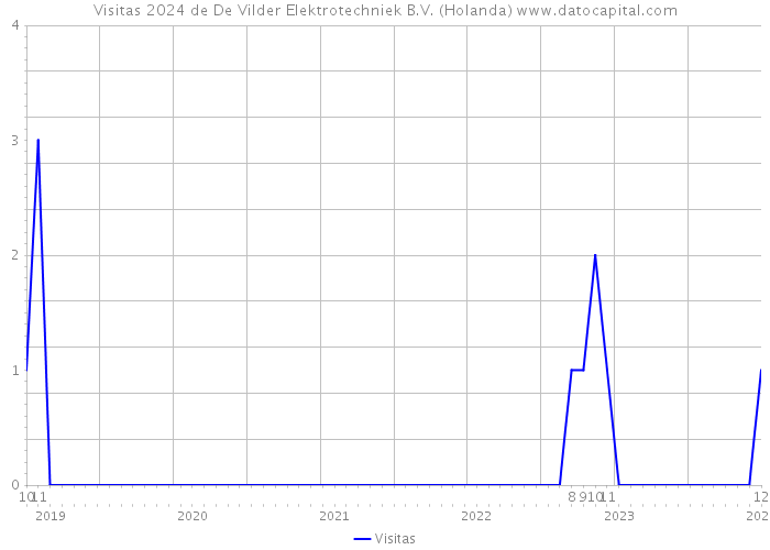 Visitas 2024 de De Vilder Elektrotechniek B.V. (Holanda) 
