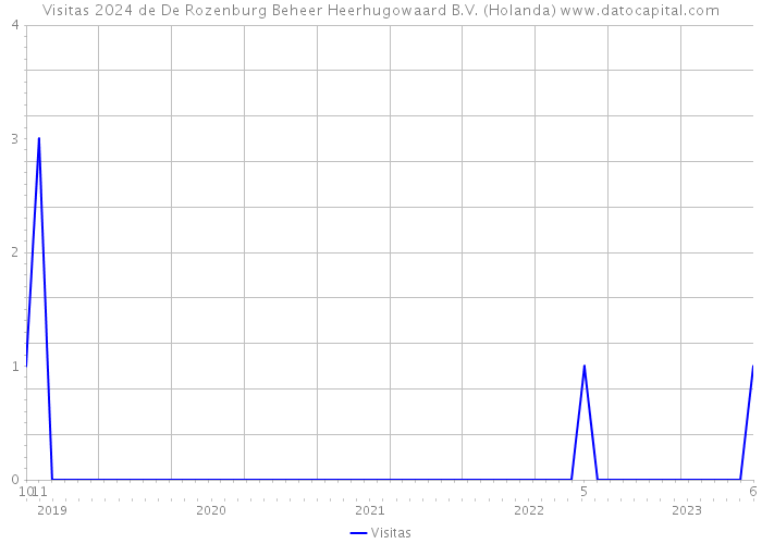 Visitas 2024 de De Rozenburg Beheer Heerhugowaard B.V. (Holanda) 