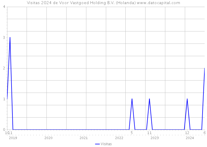 Visitas 2024 de Voor Vastgoed Holding B.V. (Holanda) 