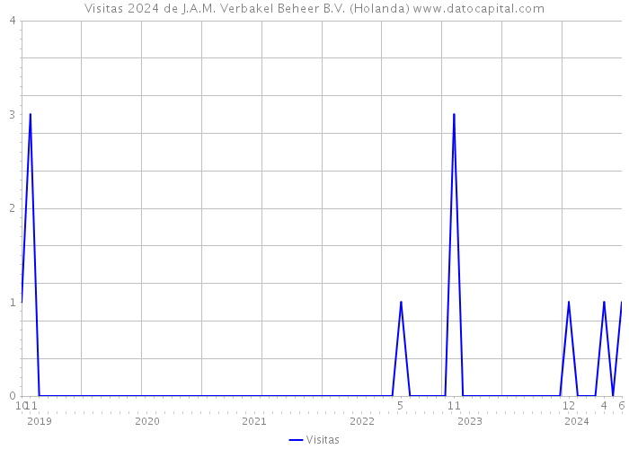 Visitas 2024 de J.A.M. Verbakel Beheer B.V. (Holanda) 