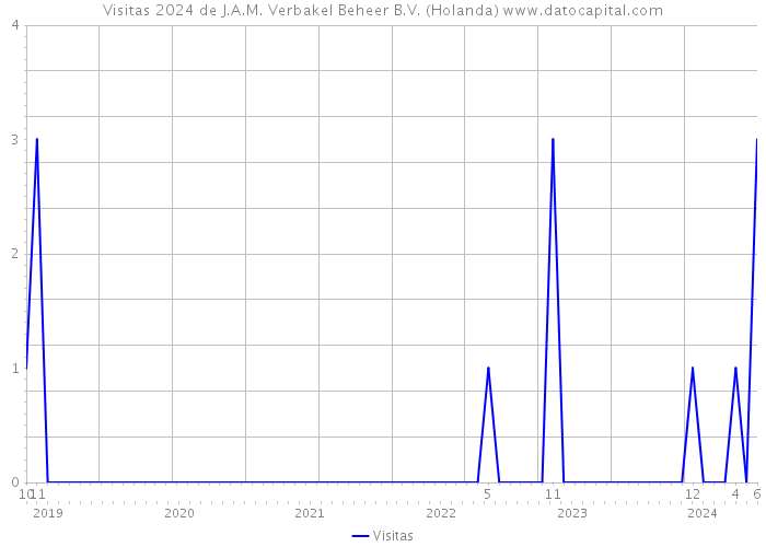 Visitas 2024 de J.A.M. Verbakel Beheer B.V. (Holanda) 