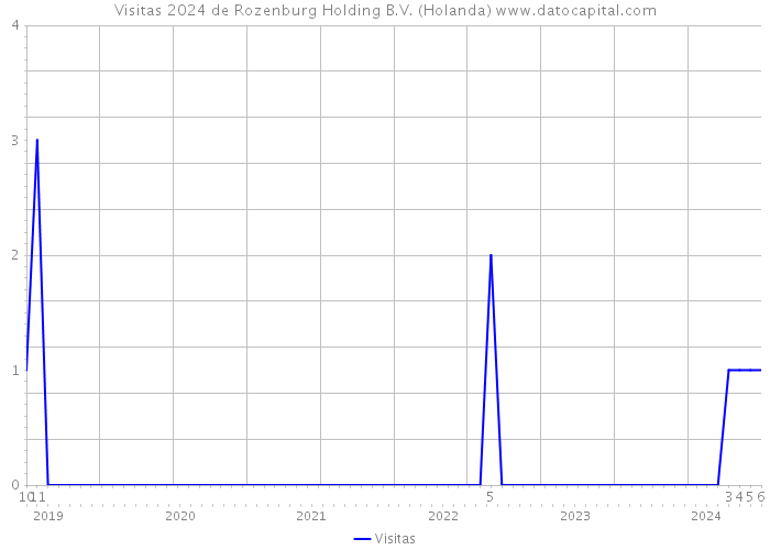 Visitas 2024 de Rozenburg Holding B.V. (Holanda) 