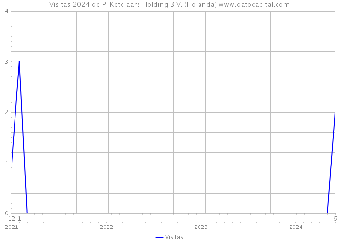 Visitas 2024 de P. Ketelaars Holding B.V. (Holanda) 