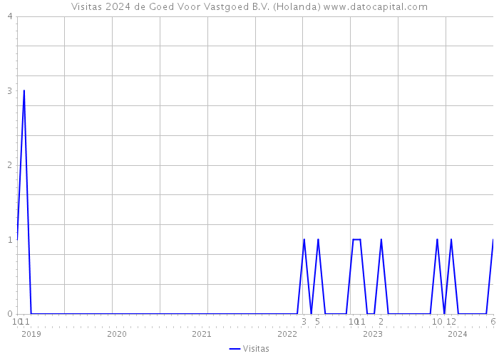 Visitas 2024 de Goed Voor Vastgoed B.V. (Holanda) 