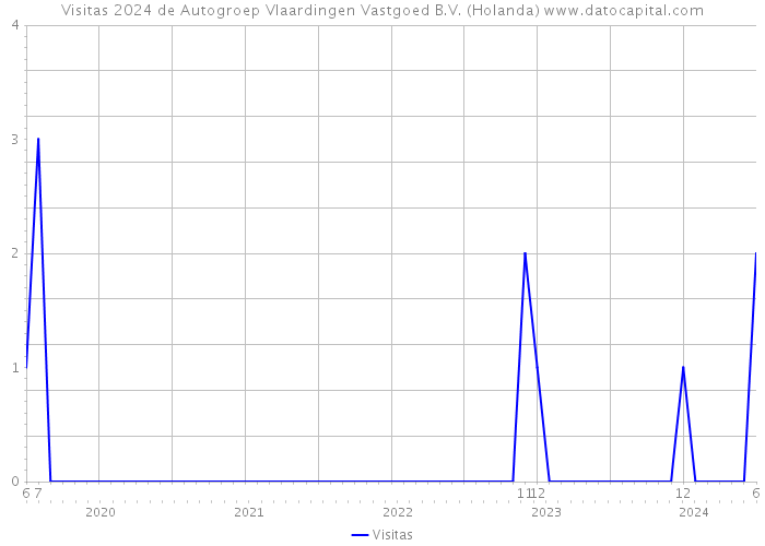 Visitas 2024 de Autogroep Vlaardingen Vastgoed B.V. (Holanda) 