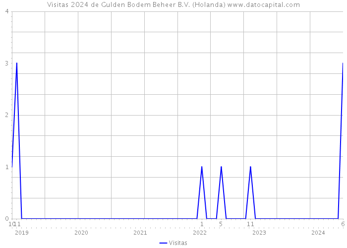 Visitas 2024 de Gulden Bodem Beheer B.V. (Holanda) 
