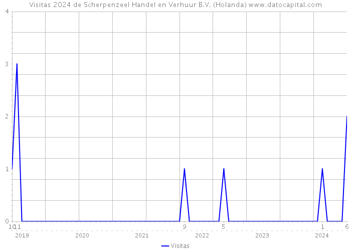 Visitas 2024 de Scherpenzeel Handel en Verhuur B.V. (Holanda) 