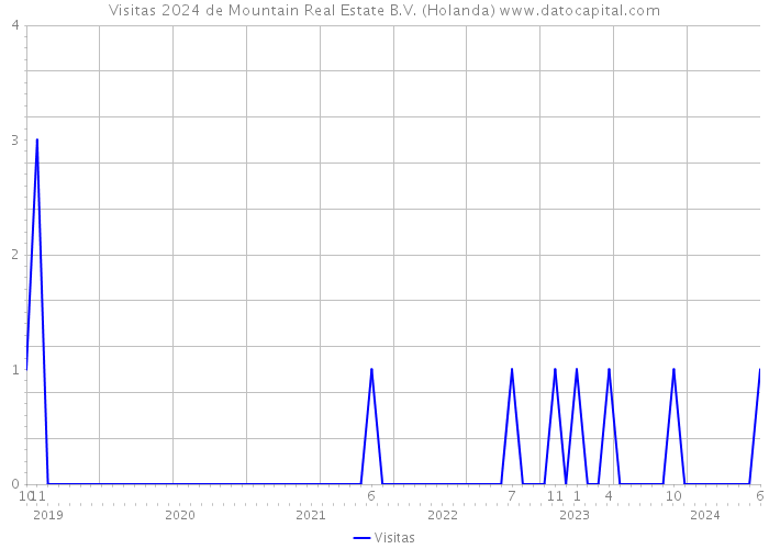 Visitas 2024 de Mountain Real Estate B.V. (Holanda) 